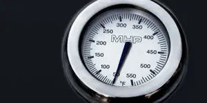 Phoenix Grills - Stainless Steel Propane Gas Grill Head On Black Aluminum Pedestal Cart - SDBOCP Phoenix Grills