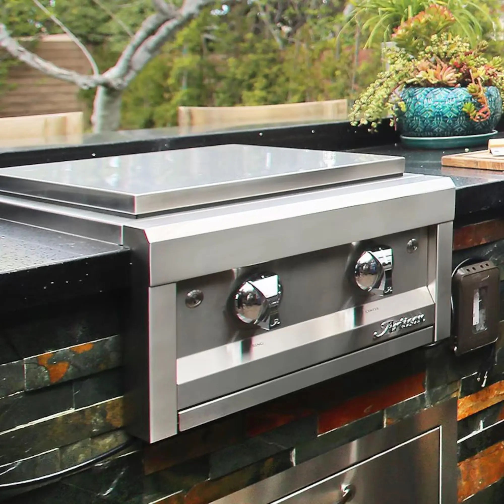 Artisan Built-In Gas Power Burner Artisan