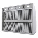 Blaze 48" Outdoor Wall Vent Hood - Agent BBQ