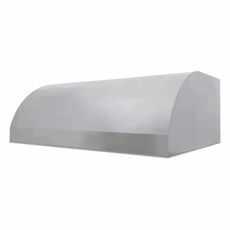 Blaze 48" Outdoor Wall Vent Hood - Agent BBQ