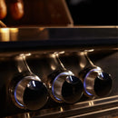 Blaze LTE PRO 40-Inch 5-Burner Freestanding Gas Grill w/ Digital Temperature Screen & Rear Infrared Burner - Agent BBQ