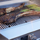 Blaze LTE PRO 40-Inch 5-Burner Freestanding Gas Grill w/ Digital Temperature Screen & Rear Infrared Burner - Agent BBQ