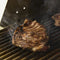 Blaze Professional LUX Infrared Searing Burner - BLZ-PRO-IR - Agent BBQ