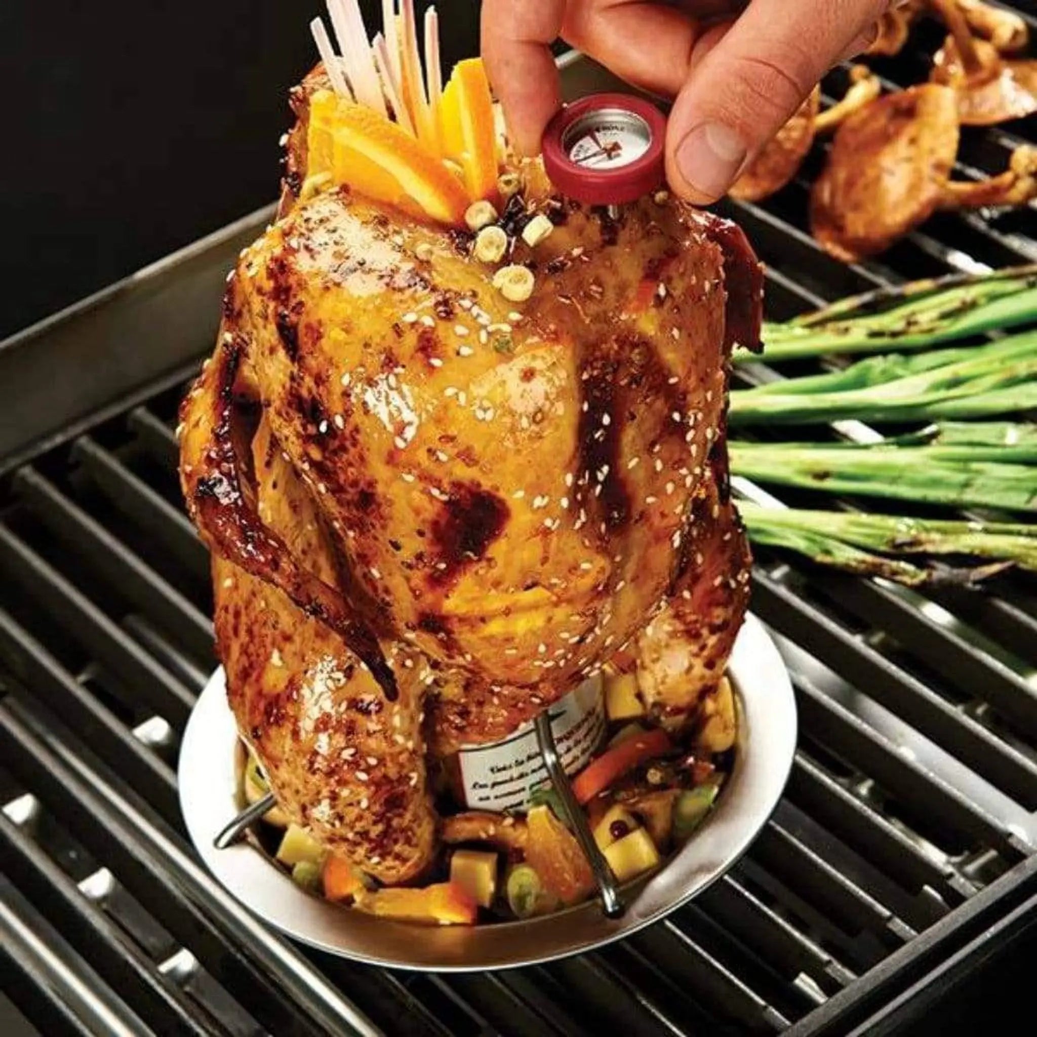 Broil King 8" Stainless Steel Chicken Roaster w/ Thermometer Broil King