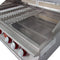 Cal Flame - BBQ Built In Grills P-Series 6 Burner with Lights, Rotisserie & Back Burner - Liquid Propane - BBQ19P06 - Agent BBQ