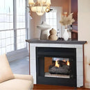 Empire Breckenridge Premium 36" See-Through Vent Free Firebox with Louvers Empire Comfort Systems