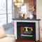 Empire Breckenridge Premium 36" See-Through Vent Free Firebox with Louvers Empire Comfort Systems
