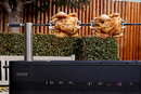 Everdure HUB I 54-Inch Charcoal Grill W/ Rotisserie & Electronic Ignition - HBCE2BBUS - Agent BBQ