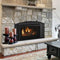 Majestic Ruby 25" Direct Vent Gas Insert | RUBY25 Majestic