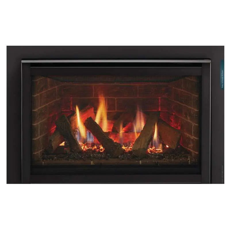 Majestic Ruby 25" Direct Vent Gas Insert | RUBY25 Majestic