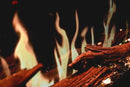 Modern Flames Orion Traditional 26" Heliovision Virtual Built-In Electric Firebox Modern Flames