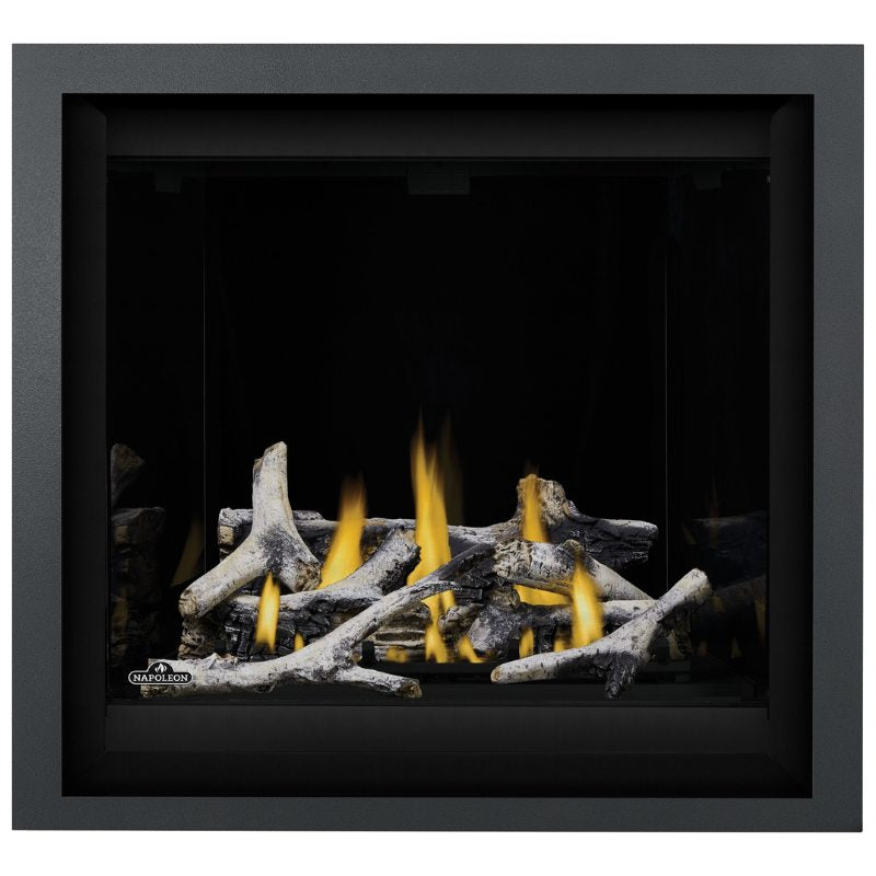 Napoleon Altitude X 36" Direct Vent Gas Fireplace | AX36-1 Napoleon