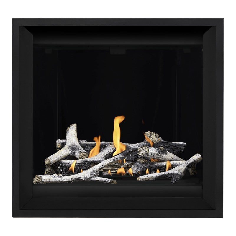Napoleon Altitude X 36" Direct Vent Gas Fireplace | AX36-1 Napoleon