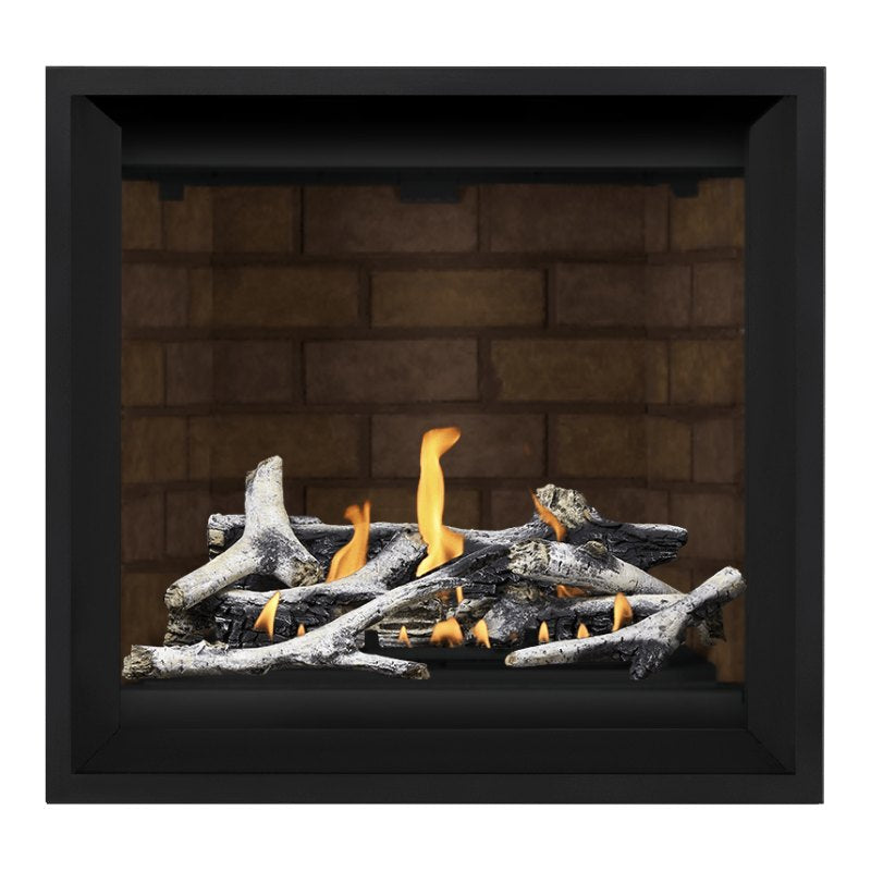 Napoleon Altitude X 36" Direct Vent Gas Fireplace | AX36-1 Napoleon