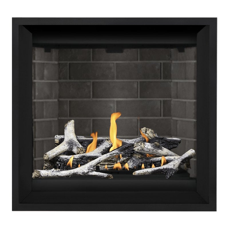 Napoleon Altitude X 36" Direct Vent Gas Fireplace | AX36-1 Napoleon