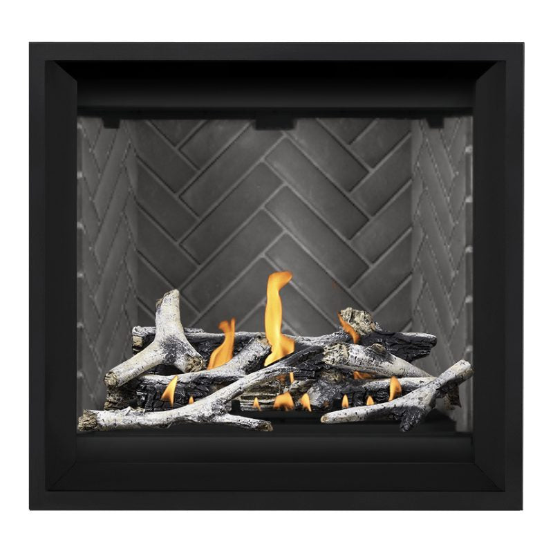 Napoleon Altitude X 36" Direct Vent Gas Fireplace | AX36-1 Napoleon