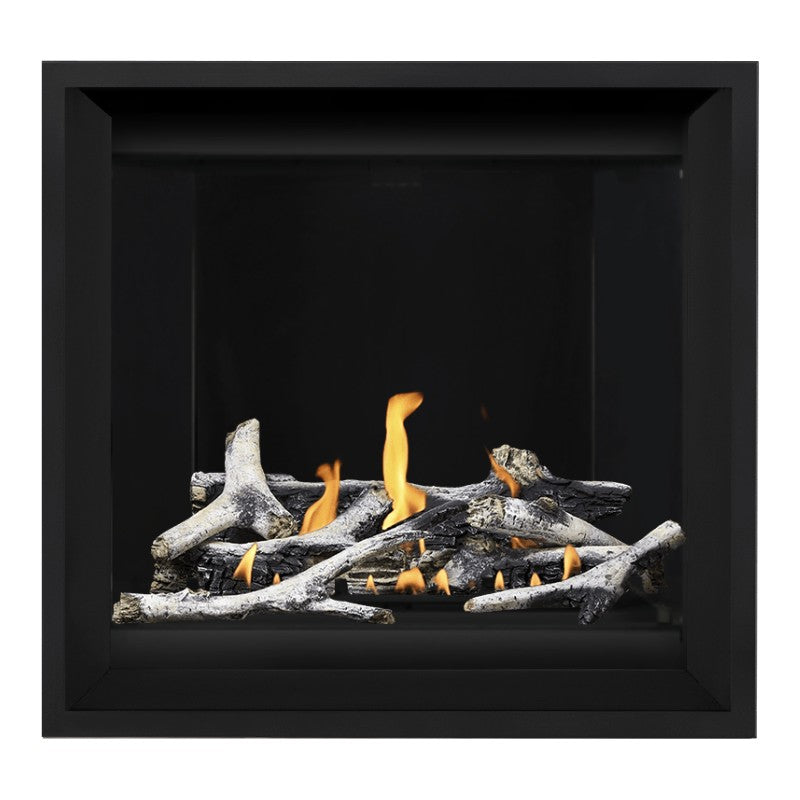Napoleon Altitude X 36" Direct Vent Gas Fireplace | AX36-1 Napoleon
