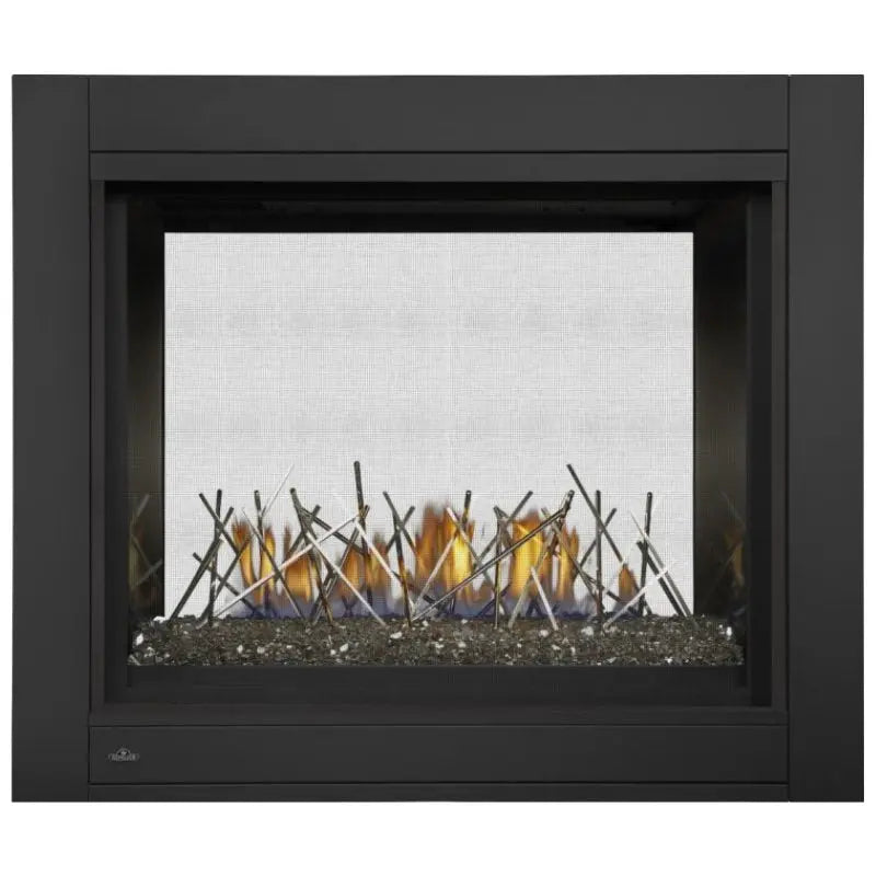 Napoleon Ascent Multi-Sided View/See Thru Direct Vent Gas Fireplace | BHD4 Napoleon