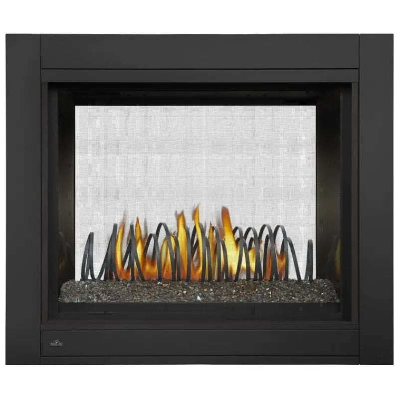 Napoleon Ascent Multi-Sided View/See Thru Direct Vent Gas Fireplace | BHD4 Napoleon