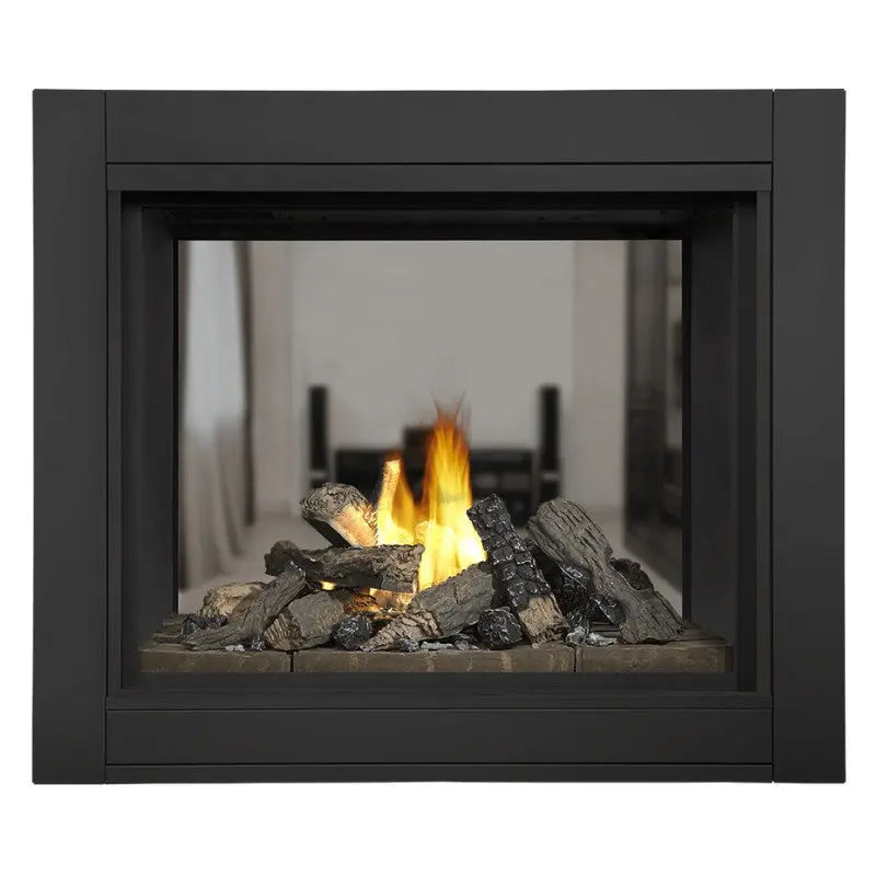 Napoleon Ascent Multi-Sided View/See Thru Direct Vent Gas Fireplace | BHD4 Napoleon
