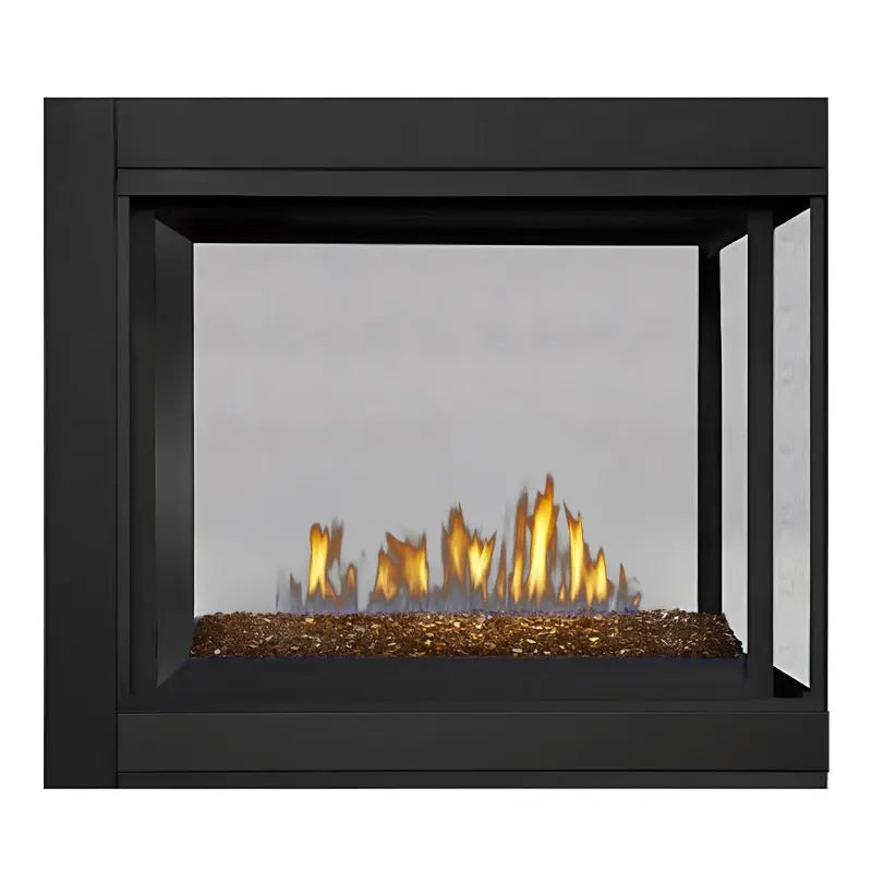 Napoleon Ascent Multi-Sided View/See Thru Direct Vent Gas Fireplace | BHD4 Napoleon
