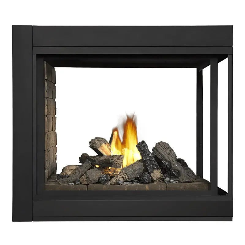 Napoleon Ascent Multi-Sided View/See Thru Direct Vent Gas Fireplace | BHD4 Napoleon