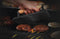 Napoleon Cast Iron Chef's Press - 56056 Napoleon