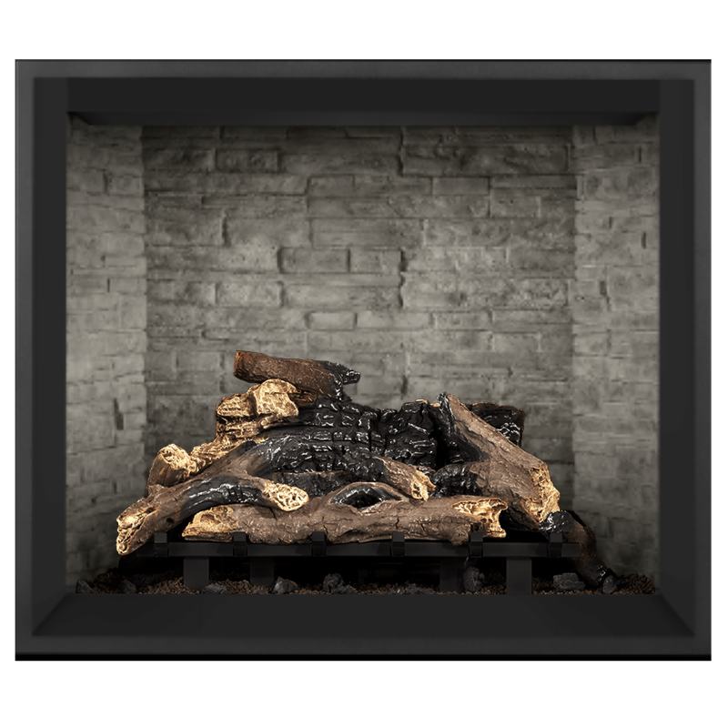 Napoleon Elevation 42-Inch Direct Vent Gas Fireplace | E42 Napoleon