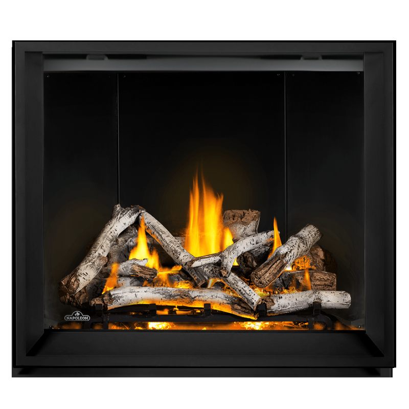 Napoleon Elevation X 42" Direct Vent Gas Fireplace | EX42 Napoleon