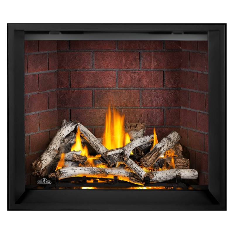 Napoleon Elevation X 42" Direct Vent Gas Fireplace | EX42 Napoleon