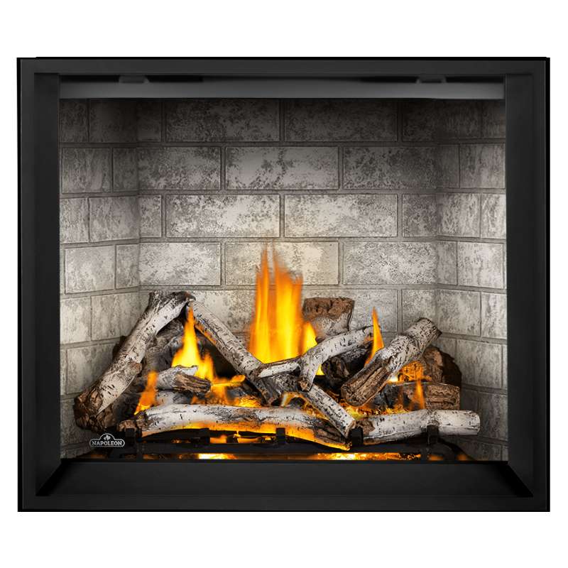 Napoleon Elevation X 42" Direct Vent Gas Fireplace | EX42 Napoleon