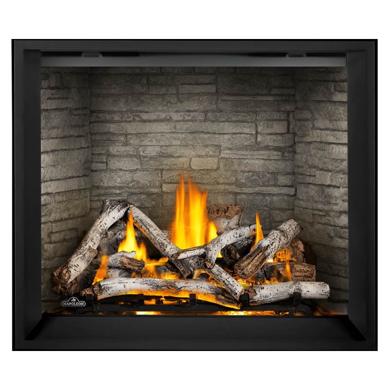 Napoleon Elevation X 42" Direct Vent Gas Fireplace | EX42 Napoleon