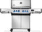 Napoleon Prestige 500 Connected RSIB - P500VXRSIBSS Napoleon