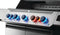 Napoleon Prestige 665 Connected RSIB - P665VXRSIBSS Napoleon