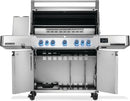 Napoleon Prestige 665 Connected RSIB - P665VXRSIBSS Napoleon