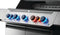 Napoleon Prestige 665 RSIB - P665VRSIB Napoleon