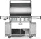 Napoleon Rogue PRO 625 5-Burner Gas Grill w/ Side Burner (Stainless Steel) - RP625SISS-2 Napoleon