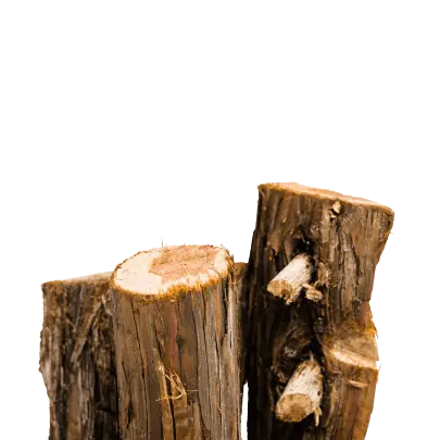Solo Stove Juniper Aromatic Firewood Bundle Solo Stove