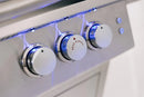 Summerset Sizzler Pro 40" Built-in Gas Grill - Agent BBQ