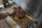 Tagwood BBQ 24 X 16 Inch Edge-Grain Cutting & Carving Board - TAWO05 Tagwood BBQ