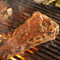 Fire Magic 24" 2-Burner Choice Multi-User  In-Ground Post Mount Gas Grill w/ Analog Thermometer (C430s) - Agent BBQ