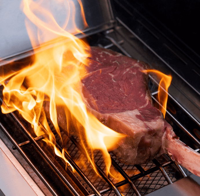 Monument Grills - Eminence 605 | Master Power Stainless Natural/Propane Gas Grill - E605 - by Monument Grills | Buy at Agent BBQ